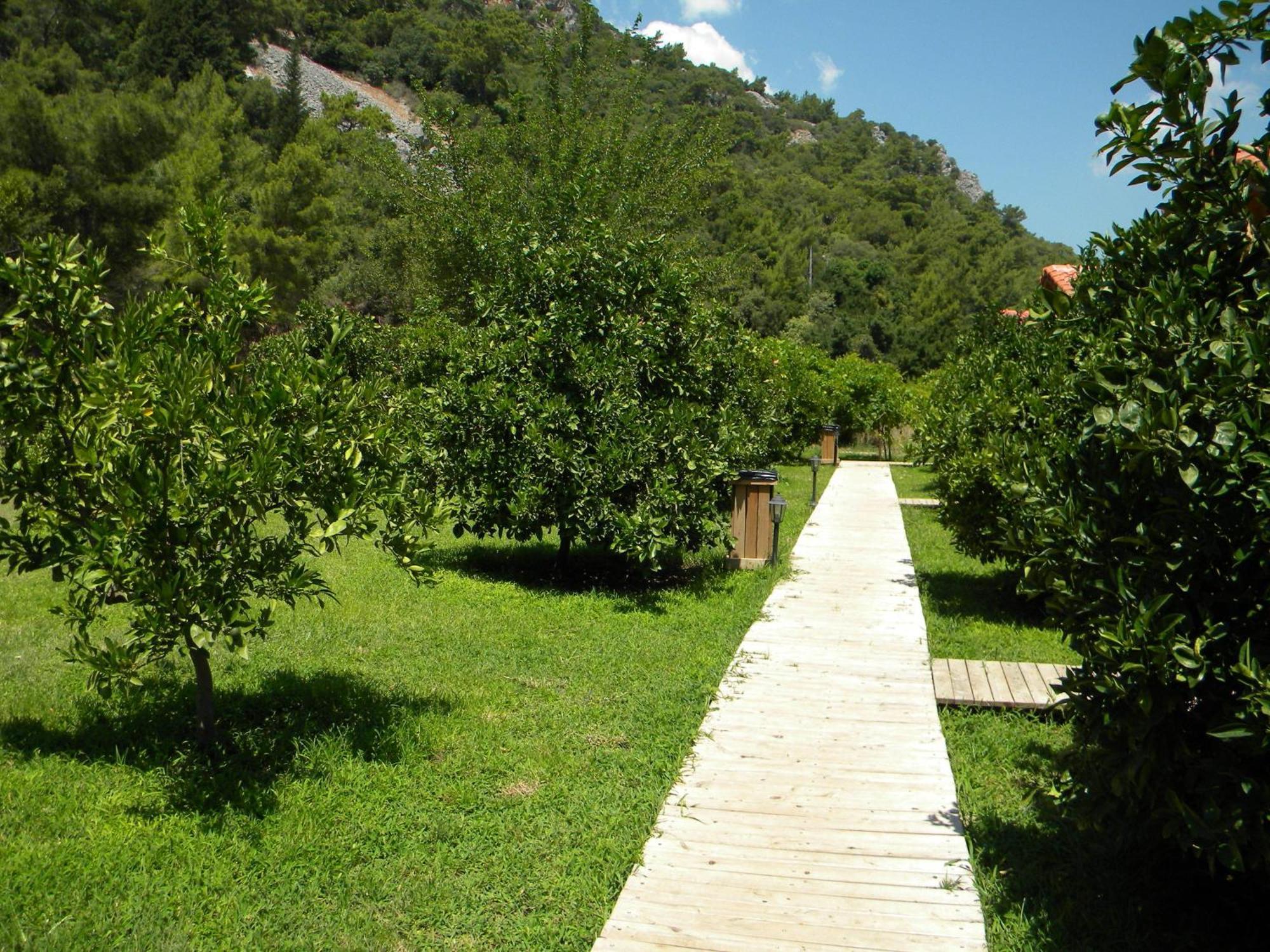 Azra Villas Cirali Room photo